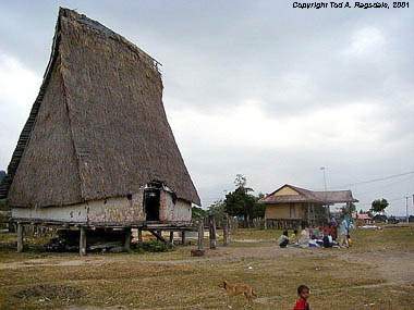 Traditional Montagnard (Jarai) 'Rong' Meeting House, Central Highlands, Vietnam, 2000