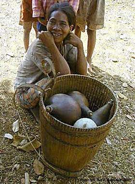 Montagnard (Jarai) woman selling goards in basket, Central Highlands, Vietnam, 2000