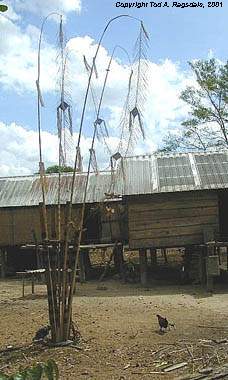 Montagnard (Jarai) sacrificial pole, Central Highlands, Vietnam, 2000