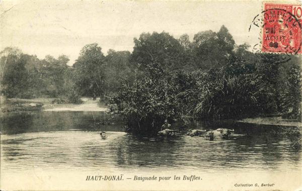 HAUT-DONAÏ - Baignade pour les Buffles     Collection G. Barbat