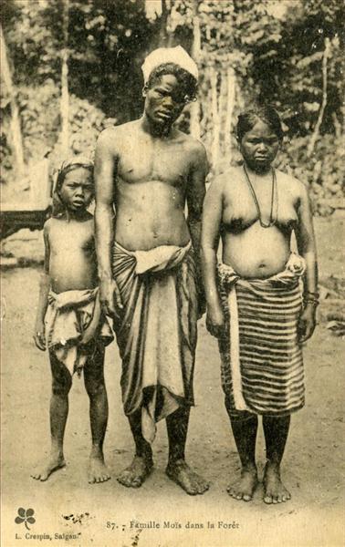 87. - Famille Moïs dans la Forêt