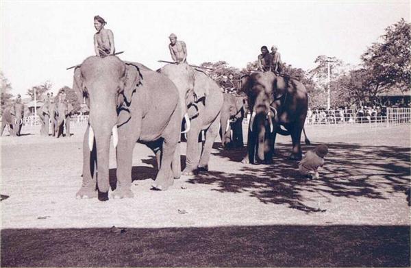 INDOCHINE 1943: GRAND SERMENT MOÏ A BANMETHUOT: LES ELEPHANTS