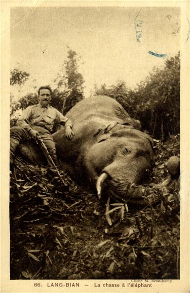 66. LANG-BIAN - La chasse à l'éléphant-cliché M. Beauchamp