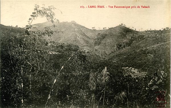 165. - LANG-BIAN. - Vue Panoramique près de Yaback