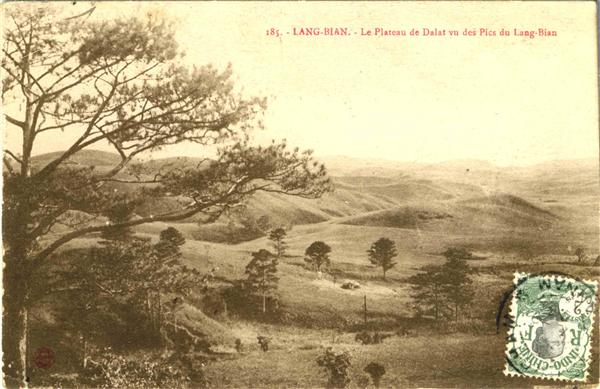185. - LANG-BIAN. - Le Plateau de Dalat vu des Pics du Lang-Bian
