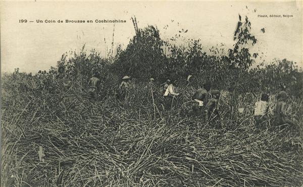 199 - Un coin de Brousse en Cochinchine
Planté, éditeur, Saïgon