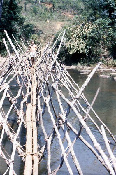 Pont de branches sur la Dargna