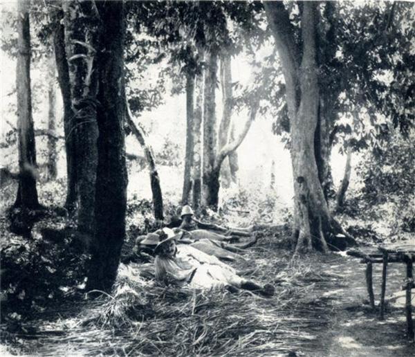 HALTE DANS LA FORÊT ANNAMITIQUE