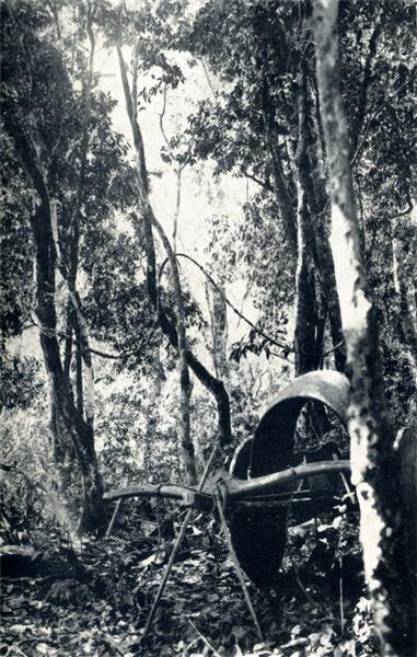 UNE HALTE DANS LES FORÊTS DE L'ANNAM