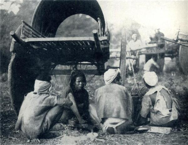 CHARRETTES DE CAMPEMENT DANS LA BROUSSE