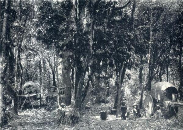 HALTE DANS LA FORÊT ANNAMITIQUE