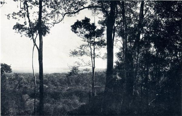 VUE DE LA SAVANE PRES DE LA CHAINE ANNAMITIQUE